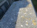 image of grave number 883357